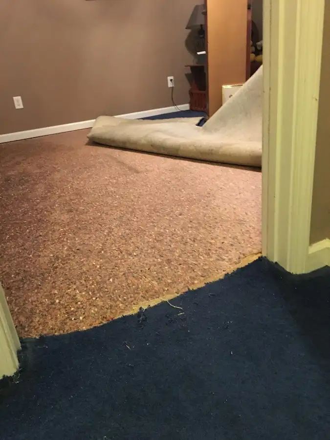 Carpet pad removal revealing water damage during Water Mitigation Services in North East